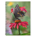 Buscar orientales libretas General y unisex