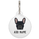 Buscar cara collares Perros