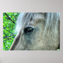 Buscar año nuevo chino posters Año del caballo