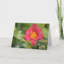 Buscar lirio rojo tarjetas Flor