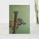 Buscar chimpancé tarjetas Zoológico