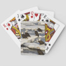 Buscar rapaz barajas de cartas Águila