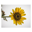 Buscar flora y fauna posters Paisajes