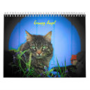 Buscar felino calendarios Animal
