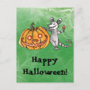 Buscar opossum postales Adorable
