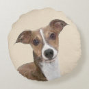 Buscar galgo italiano cojines Perro