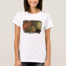 Buscar oil camisetas 19th