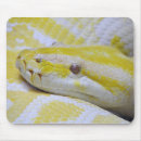 Buscar albino alfombrillas de raton Reptil