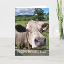 Buscar animal fotografía tarjetas Para él