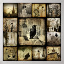 Buscar cuervo posters Naturaleza