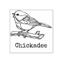 Buscar pájaros manualidades Bosque