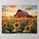 Buscar graneros rojos posters Girasoles