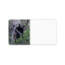 Buscar cachorro de oso negro postales Adorable