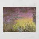 Buscar waterlilies postales 20th