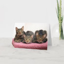 Buscar tres amigos tarjetas General y unisex