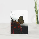 Buscar soledad tarjetas Fotografía