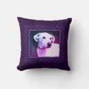 Buscar mezcla cojines Para ella