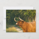 Buscar vaca postales Bosque
