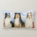 Buscar perro pastor cojines Shetland