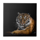 Buscar tigre azulejos Jungla