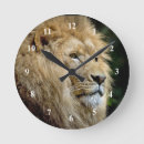 Buscar león africano relojes de pared África