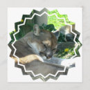 Buscar parque zoológico invitaciones Animal