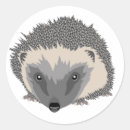 Buscar erizos pegatinas Animal
