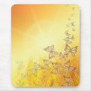 Buscar buterfly Insecto
