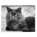 Buscar gato calendarios Negro y blanco