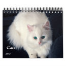 Buscar gatos de tabby calendarios Persa