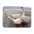 Buscar geo imanes Blanco