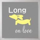 Buscar perro salchicha posters Doxie