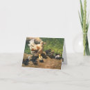 Buscar pollitas tarjetas Madre