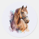 Buscar caballos pegatinas Animal
