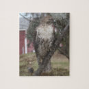 Buscar halcones puzzles Animal