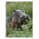 Buscar hipopótamo cuadernos Animal