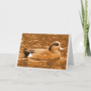 Buscar cirujano tarjetas Cirujana americana