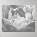 Buscar fineart posters Wallart