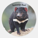 Buscar demonio pegatinas Australia