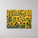 Buscar girasol arte Imprimir