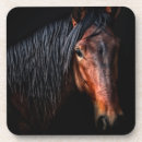 Buscar caballo posavasos Fotografía