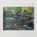 Buscar nh postales Bosque