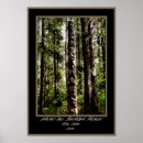 Buscar tótem posters Tlingit