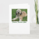 Buscar tibetano tarjetas 8 º tarjeta