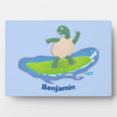 Buscar tortugas placas fotograbadas Tortuga marina