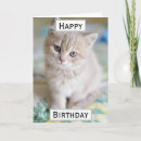 Buscar gato grande tarjetas Para él