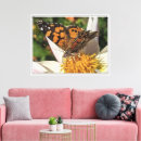 Buscar mariposas lienzos Para todos