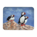 Buscar puffin imanes Costa