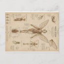 Buscar anatomía humana tarjetas Humano