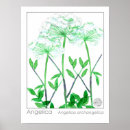 Buscar flores pintadas a mano posters General y unisex